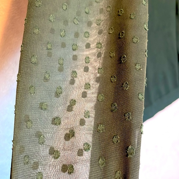 ADRIANNA PAPELL Green Pullover Sweater Top PolkaDot Sheer Sleeve V-neck Tie Sz S - Picture 4 of 12